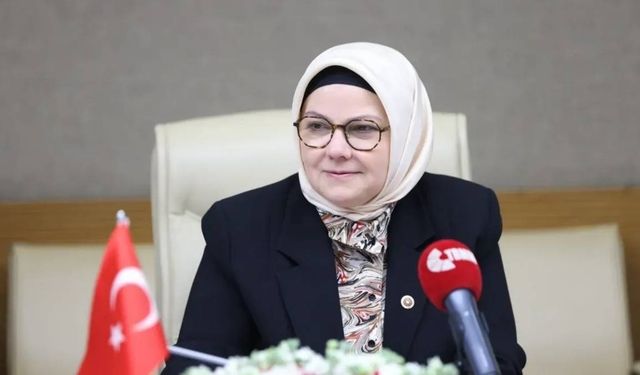 AK Parti Kayseri Milletvekili Ayşe Böhürler Suça sürüklenen çocuklar komisyonuna katıldı