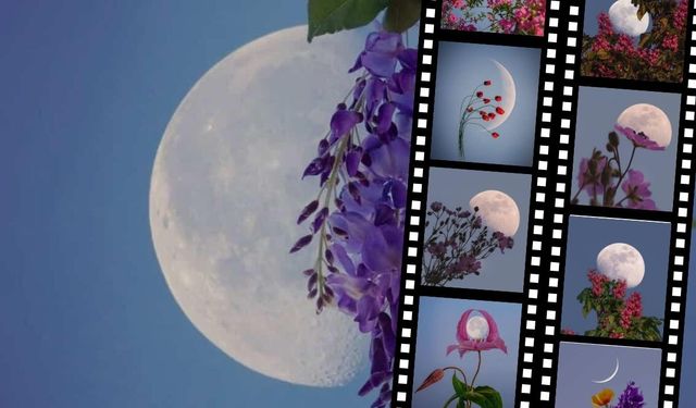 Çiçeklerle Ay’ı buluşturdu: Kayserili gökyüzü fotoğrafçısı Betül Türksoy’un eserleri görenleri etkiledi