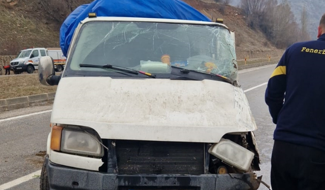 Kamyonet Duvara Çarptı, 4 Kişi Yaralandı!