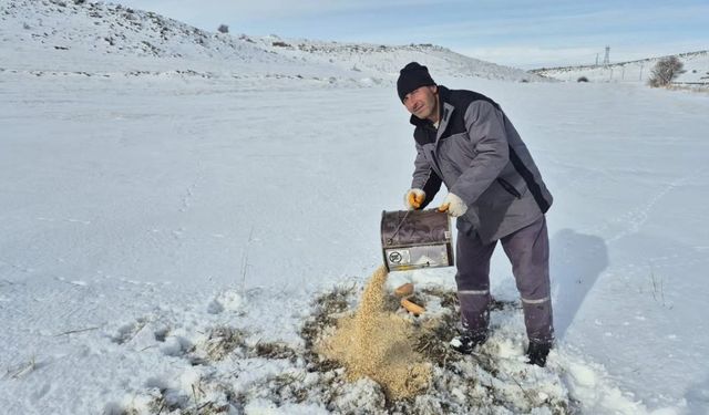 Bünyan’da sokak hayvanları için yem ve mama bırakıldı