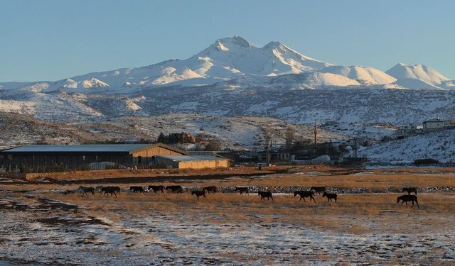 Hürmetçi Sazlığı’nda gün batımı manzarası! Yılkı atları dronla görüntülendi