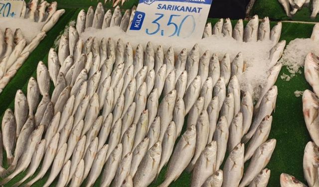 Kayseri’de balık bolluğu yaşanıyor en çok tüketilen balık hangisi, fiyatları ne?