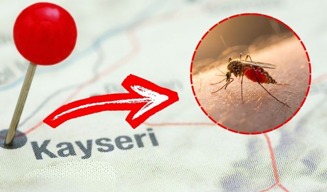 Kayseri’de bir köyü esir alan salgın!