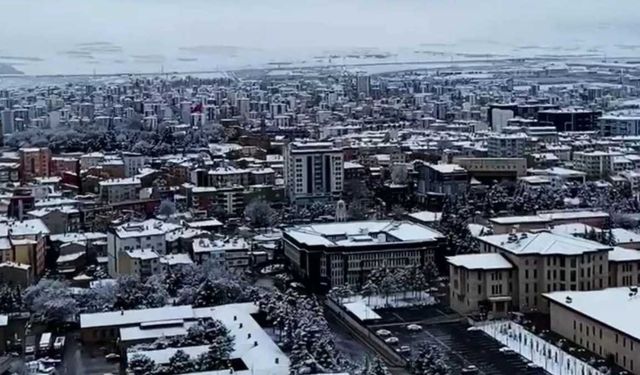 Niğde’de vatandaşı isyan ettiren olay: Ekmeğin içinden izmarit çıktı!