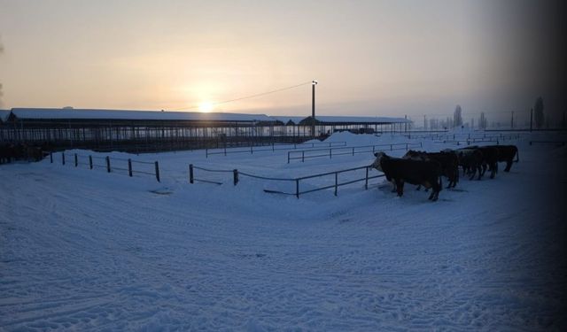 Türkiye’nin en büyük hayvan pazarı kar nedeniyle kapatıldı!