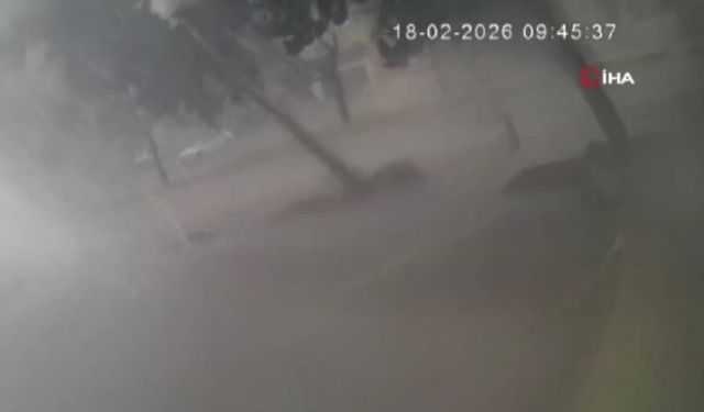 Fırtınaya dayanamayan ağaç kökünden söküldü