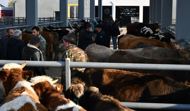 Hayvancılıkta yeni dönem başlıyor: Recep Bağlamış açıkladı, Kayseri bölgesel üs olma yolunda