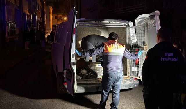 Sivas’ta yangın faciası: Bir evde 26 kedi can verdi