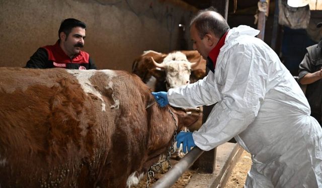 Sahada ilk aşı Saklav'dan : Seferberlik Melikgazi’den başladı