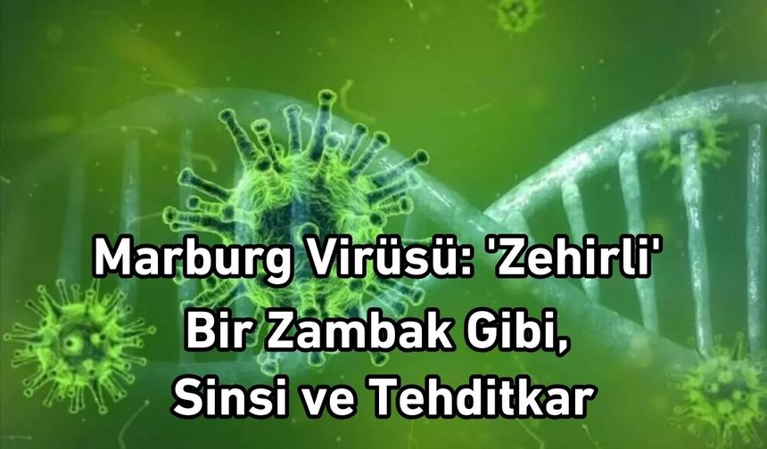 Marburg Virüsü: 'Zehirli' Bir Zambak Gibi, Sinsi ve Tehditkar