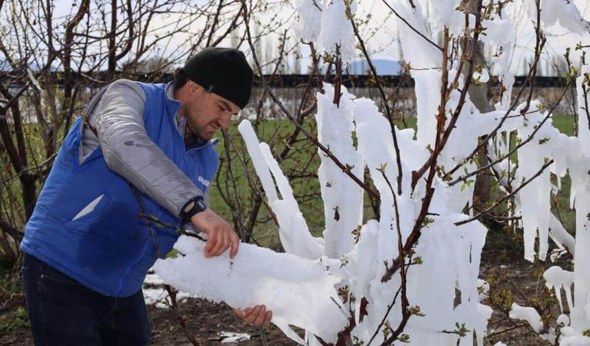 Kayseri'nin o ilçesinde çiftçi destek başvuruları başladı!