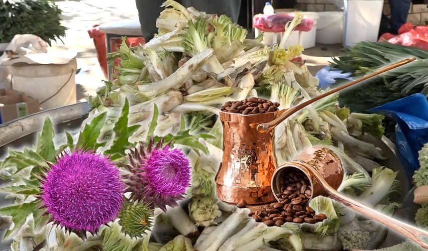 Anadolu’nun Gizli Hazinesi Kenger Kahvesi Nedir?