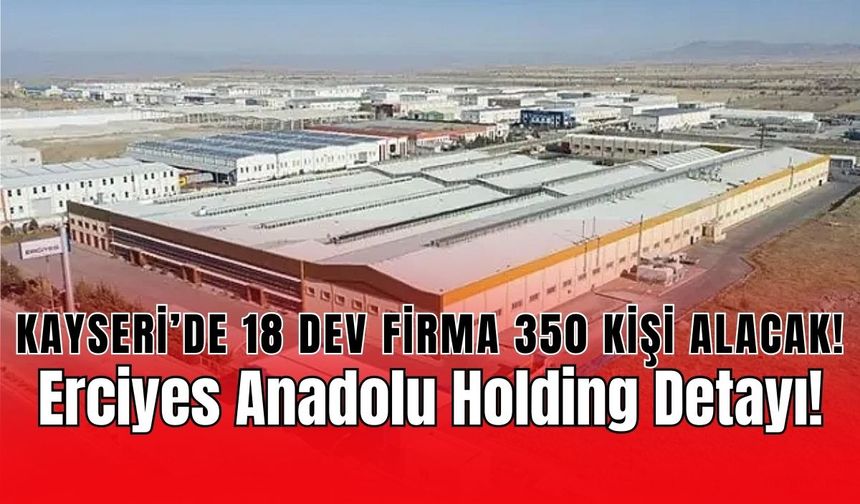 Erciyes Anadolu Holding dahil 18 şirketten dev alım!