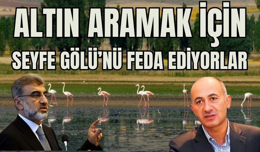 Seyfe Gölü'nde  Koruma alanının yarıya indirilmesini Taner Yıldız mı organize etti?