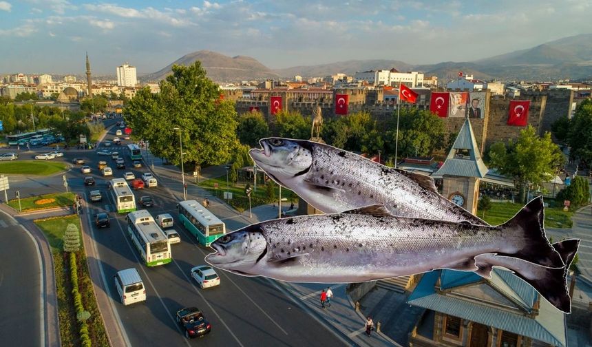 Kayseri’nin o ilçesi Alabalık üretim devi olma yolunda!