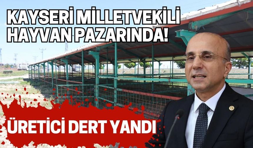 Kayseri Milletvekili hayvan pazarında! Üretici dert yandı