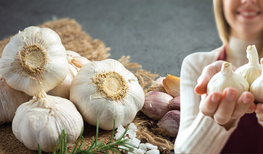 Sarımsağın Sağlığa Mucizevi Faydaları
