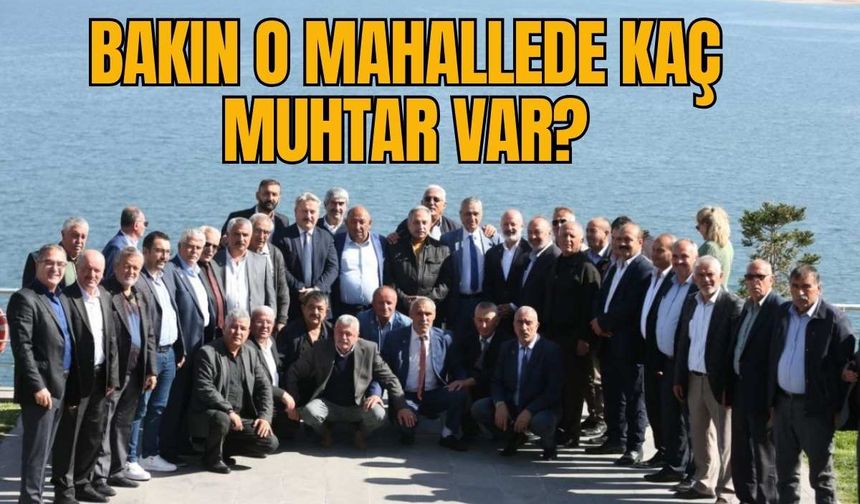 Bakın O mahallede kaç muhtar var?