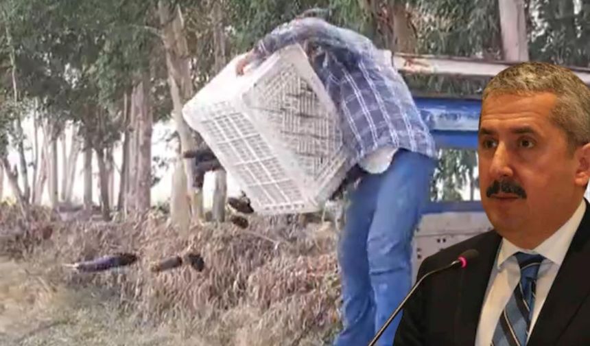 Kayserili Bakan Yardımcısı paylaştı! Sebzeleri yere döken şahsa rekor ceza