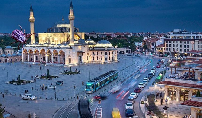 Evinde otururken fark etmedi: Kene ısırınca 250 kilometre yol gitti!