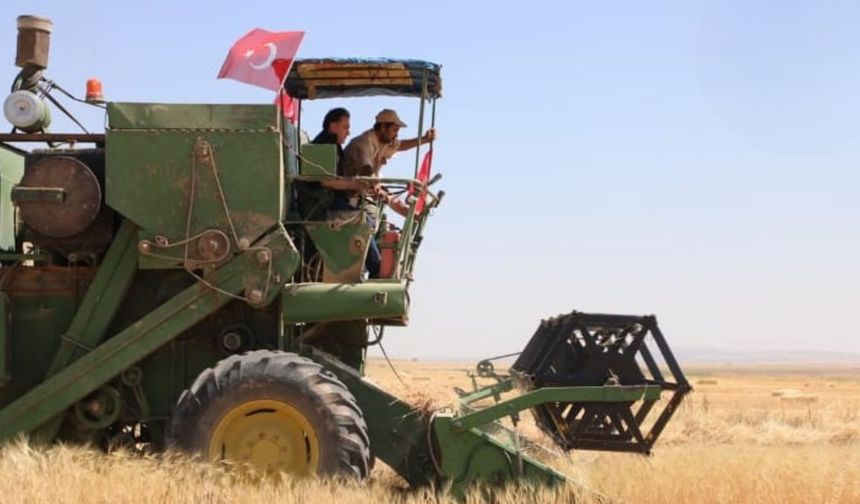 Kayseri'nin ata tohumuna başkandan destek! Tarlaya indi, hasat başladı!