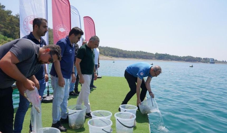 Kayseri dâhil 12 ilde 129 Gölet'e 10,5 milyon yavru sazan bırakıldı