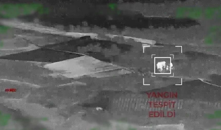 Orman Yangınına sebep olan 3 Kişi Tutuklandı