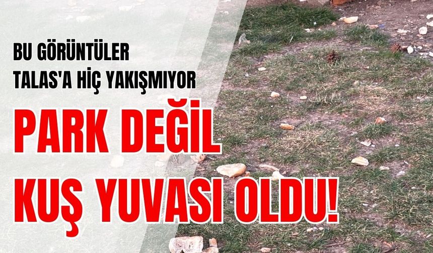 Bu görüntüler Talas'a hiç yakışmıyor: Park değil kuş yuvası oldu!