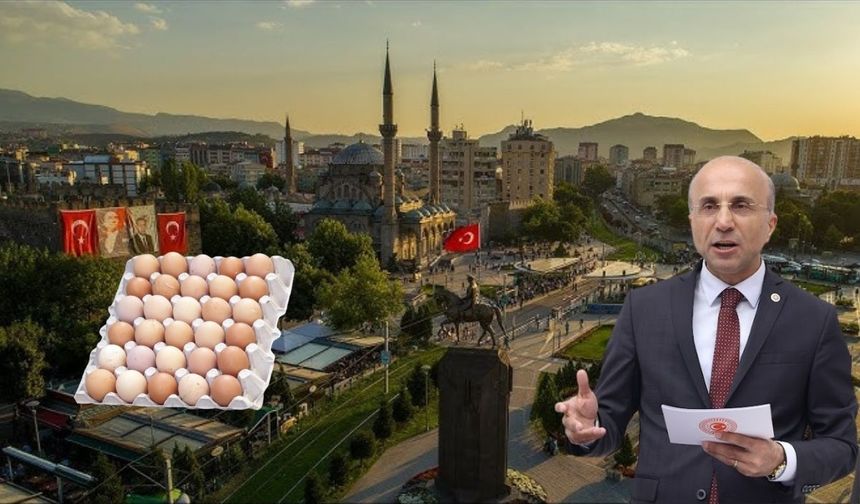 CHP’li Aşkın Genç: Yumurtanın fiyatı 5 yılda 10 kat arttı