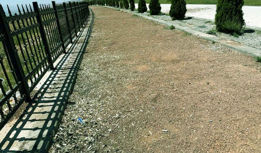 Saygısızlık,  Erkilet Millet Bahçesinde zirve yapmış