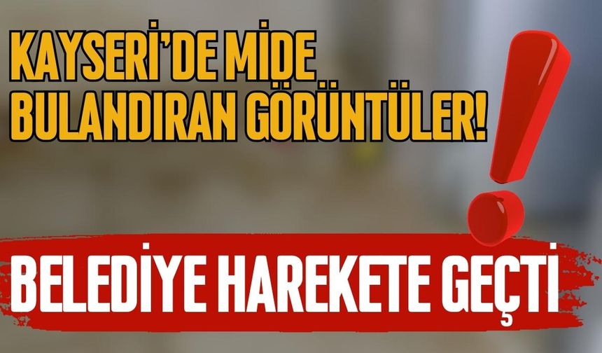 Kayseri'de mide bulandıran görüntüler! Belediye harekete geçti