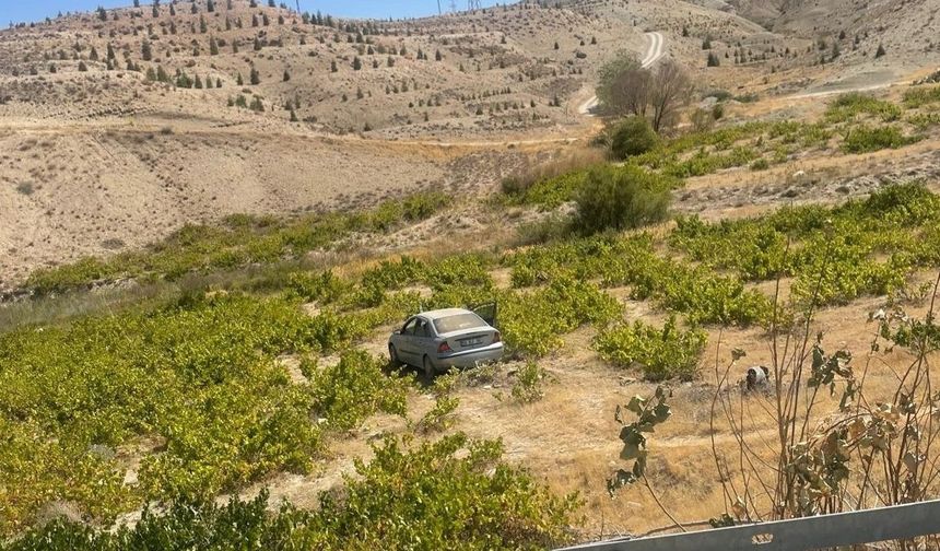 Kontrolden çıkan araç bağa daldı: 2 yaralı