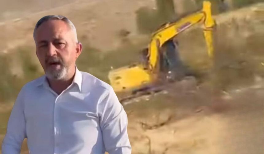 Yahyalı'da ağaç katliamı iddiası: Sessizlik korkutuyor!