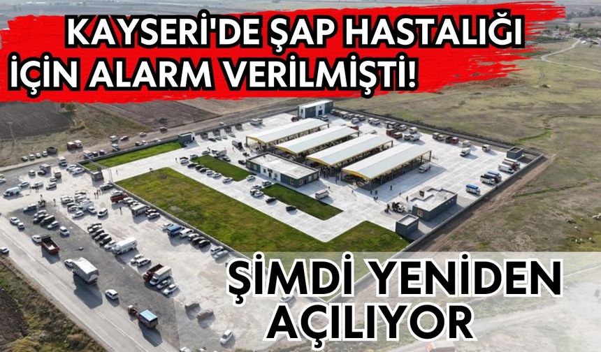 Kayseri'de şap hastalığı için alarm verilmişti! Şimdi yeniden açılıyor