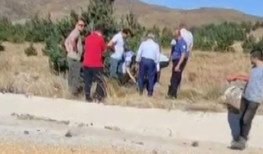 Traktör kazası can aldı! 2 kardeş hayatını kaybetti