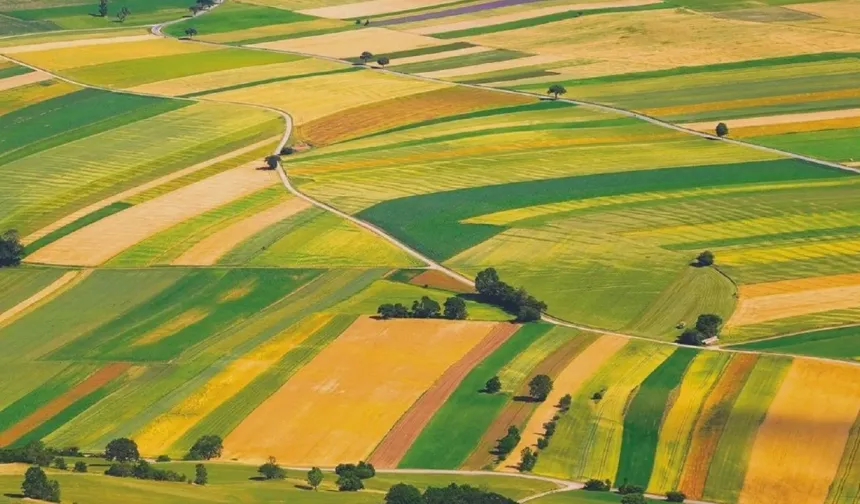 Kayseri Develi'de yatırım fırsatı: İcra dairesi 191m arsayı bu rakama elden çıkaracak