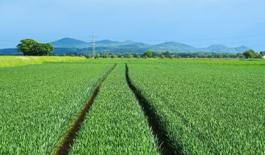 Kayseri'de büyük alan satışa çıktı: Mahkeme 17 dönüm arsaya bu fiyatı biçti