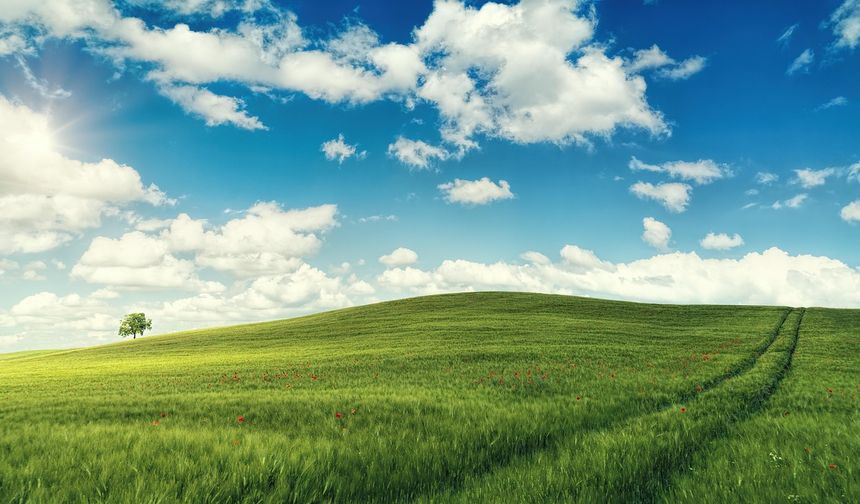 Kayseri'de 736m arsa şansı: İcraya düştüğü için ucuza satılacak