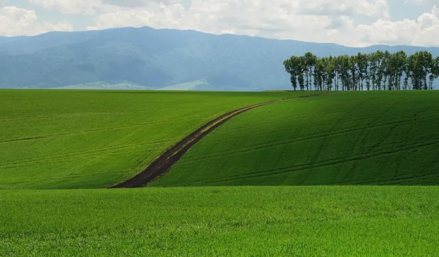 Kayseri'de 38 dönüm tarla satılacak: Bünyan'da mahkeme bu rakamı istedi