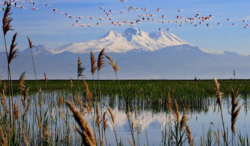 Kayseri Meclisi’nden Sultan Sazlığı için tarihi adım!