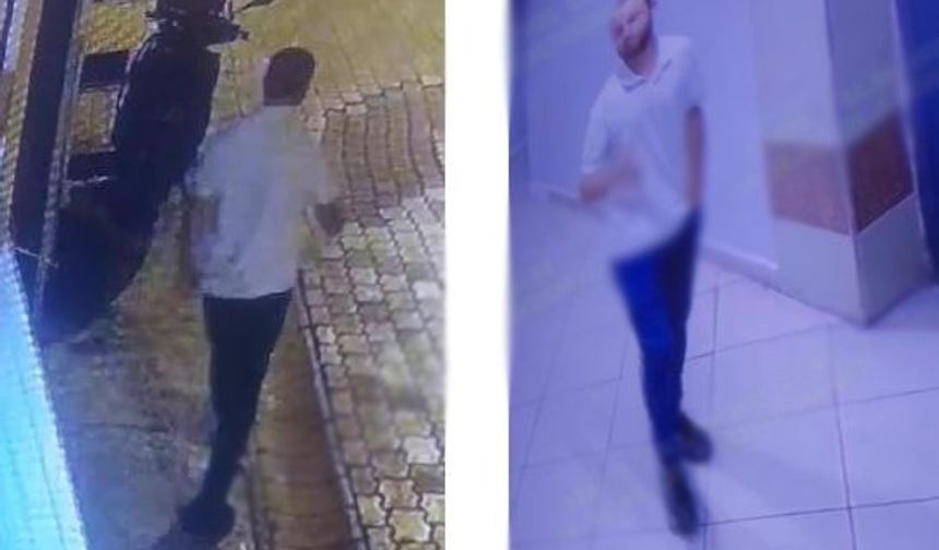 Eve hırsızlığa girdi ev sahibini bıçakladı