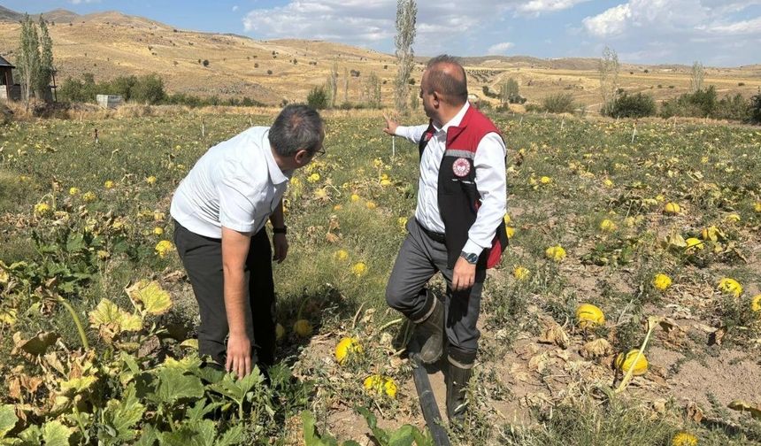 Kayseri bakın neyde Türkiye'nin 1 numarası oldu?