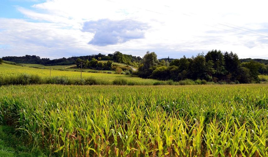 Melikgazi'de dev satış: Mahkemeye düşen 7 dönüm arsanın fiyatı açıklandı