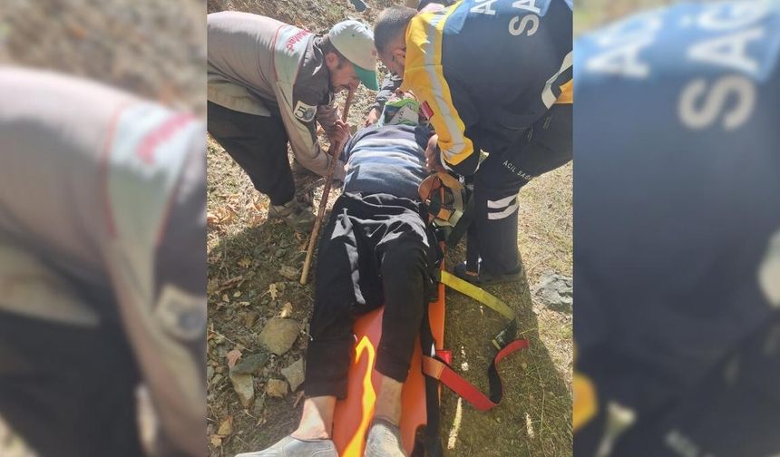 Adana’da hayvan otlatan gazi kayalıklardan düştü