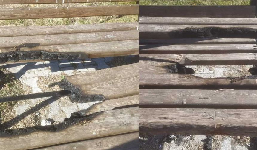 Kayseri' Tomarza’da kamu malına saldırı: Kamelyaları yaktılar!