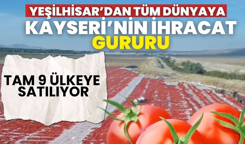 Kayseri'nin ihracat gururu: Yeşilhisar domatesleri 9 ülkeye gönderiliyor