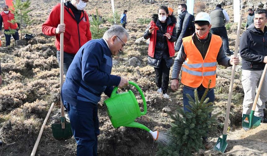 Kayseri Büyükşehir Belediyesi 38 bin fidanı toprakla buluşturuyor