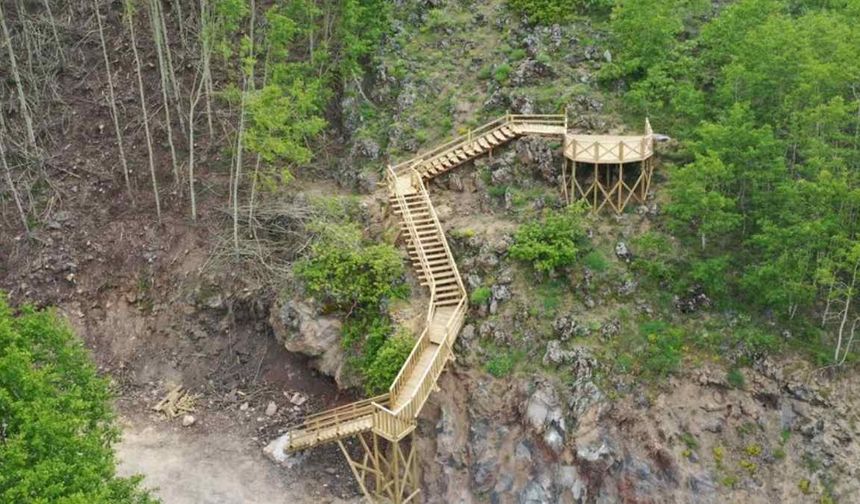 Yeniden Refah Partisi’nden Ortaseki Ormanları için sert çıkış: “Bir yol yapmak bu kadar mı zor?”