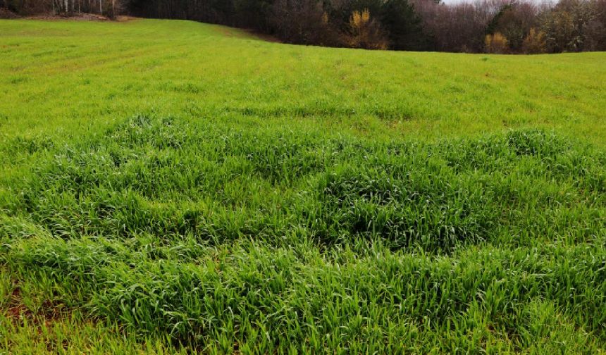 İncesu'da değerinin altına satış başladı: İcra dairesi güzel tarlaya bu rakamı istedi