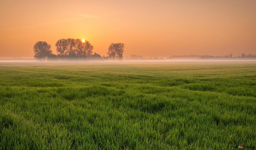 Kayseri'de 4 dönüm tarla şansı: Pınarbaşı'nda mahkeme duyurdu